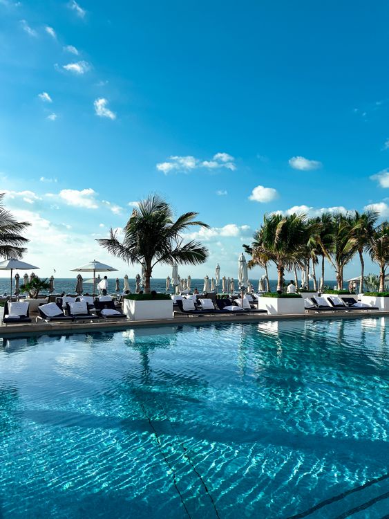 A bright resort swimming pool beside palm trees and the sea