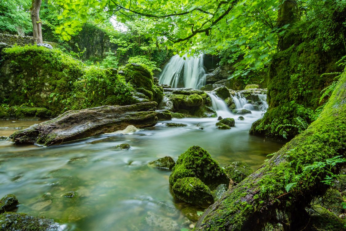 A waterfall flowing through a green woodland